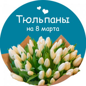 Купить тюльпаны в Костроме